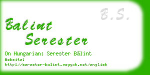 balint serester business card